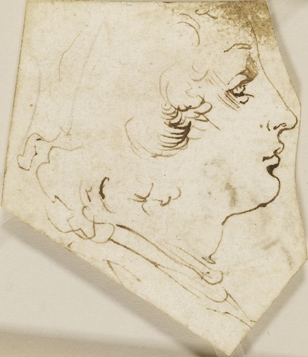 Disegno di Leonardo da Vinci – The Head of a Youth in Profile The Head of a Youth in Profile – Disegno di Leonardo da Vinci
