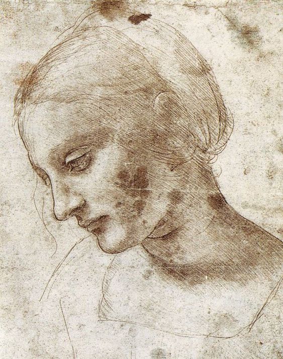 Leonard de Vinci, Studio Testa di giovane donna di profilo, disegno e terra e d'ombra su carta