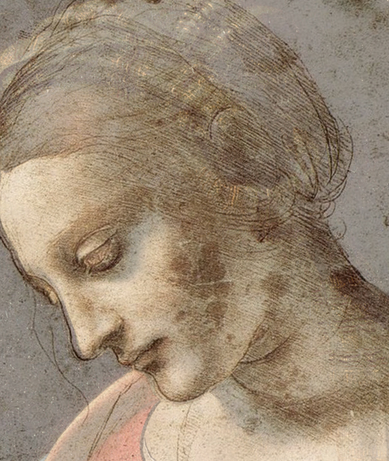 Leonardo da Vinci Sovrapposizione, Madonna Litta - Studio di testa femminile