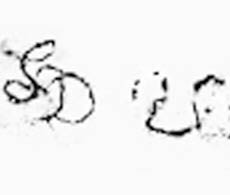 Monogramma LDV di Leonardo da Vinci, nascosto in alcuni dei suoi studi e opere, simbolo della sua firma unica e personalità artistica - Gallerie Leonardo da Vinci 